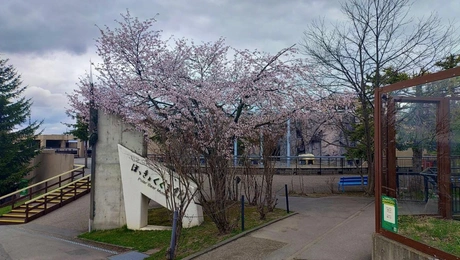 Το Asahiyama Zoo