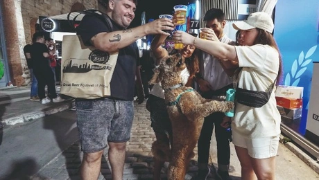 WORLD BEER