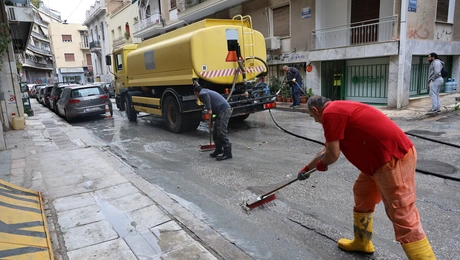 Κυψέλη