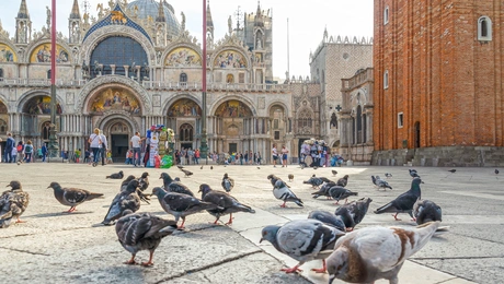 venice