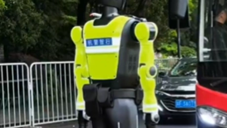 AI 
