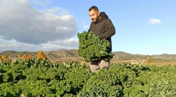 Τηλέμαχος Βακουφάρης