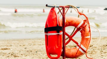 BAYWATCH