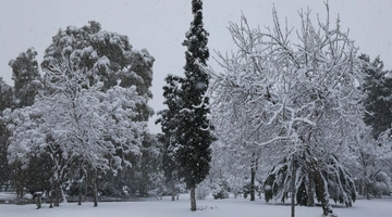 Χιόνι σε πάρκο