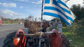 Καμένα ελαιόδεντρα στην Αλεξανδρούπολη