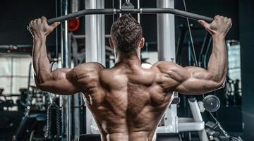 body builder