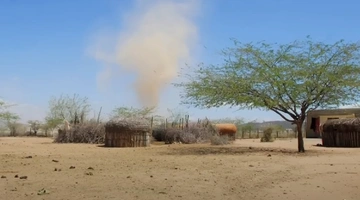 umoja