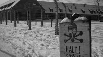 aushwitz odoiporiko
