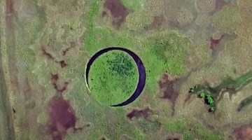 The Eye