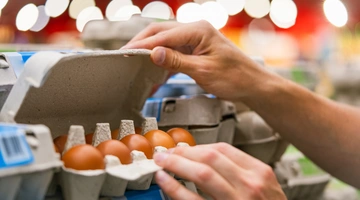 eggs