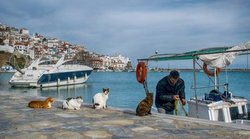 σκοπελιτης 
