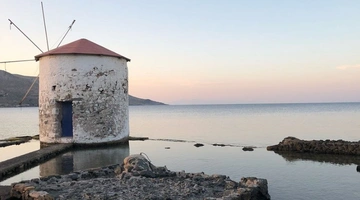 Mylos leros 